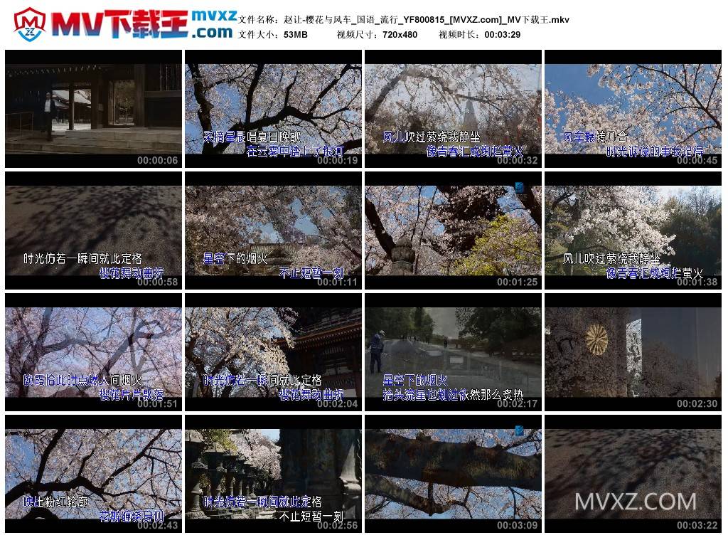 赵让-樱花与风车_国语_流行_YF800815